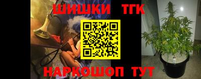 spice Дубна